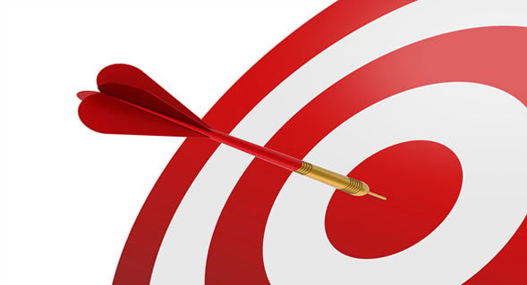 Small business owners capitalize on a niche market